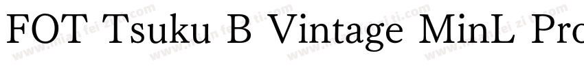 FOT Tsuku B Vintage MinL Pro字体转换